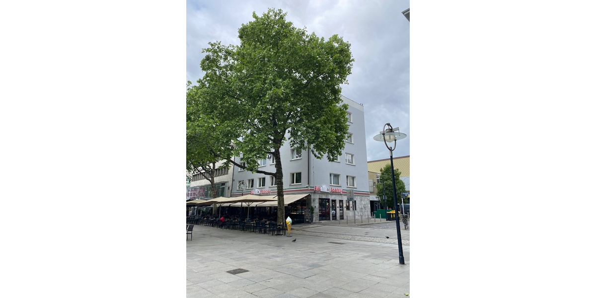 Etagenwohnung Dortmund Mitte - 2 Zimmer, 92 m&sup2;, 795&euro; | Angebot:20984208